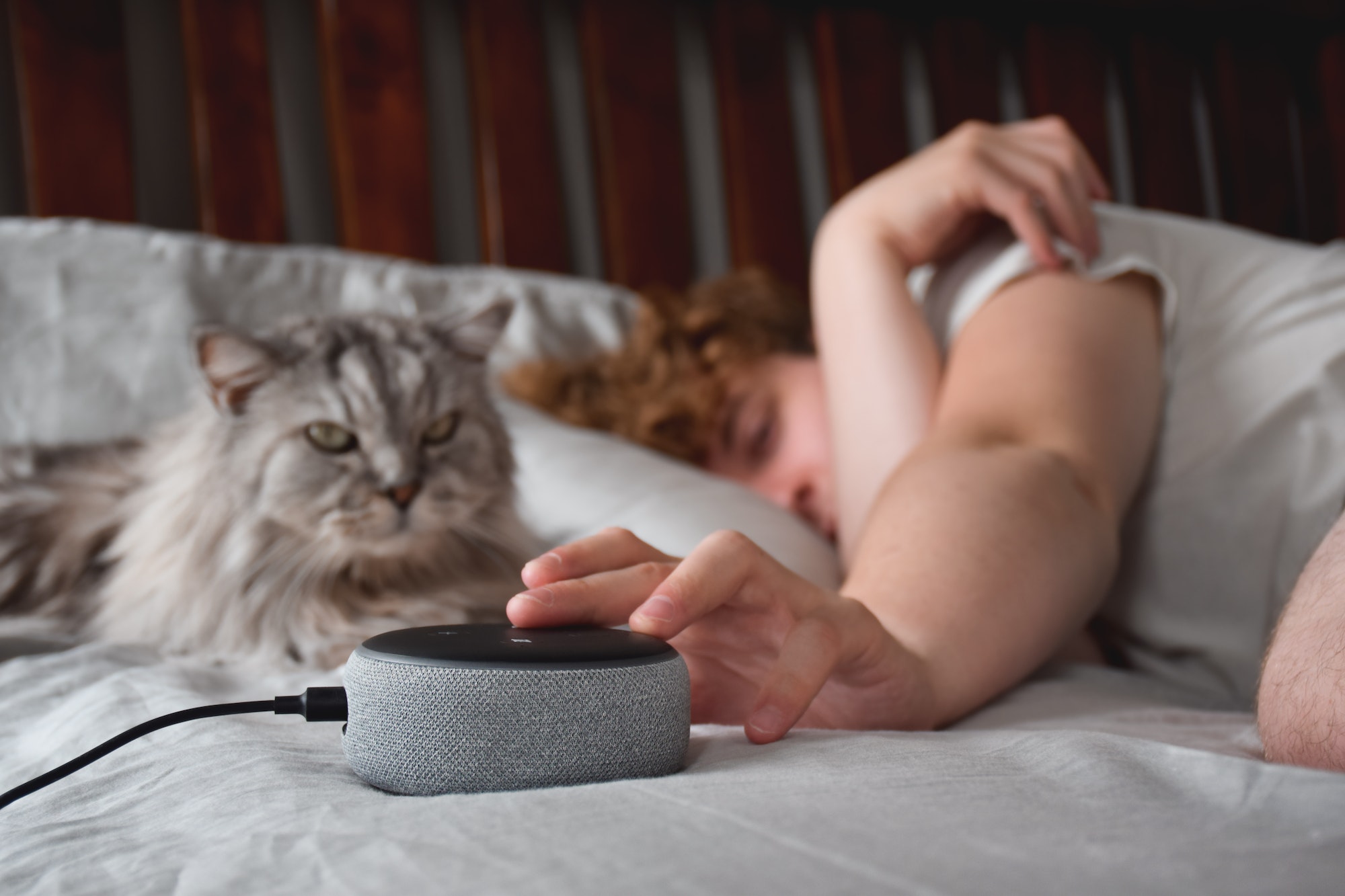 Young man sleeping in bed with cat and pressing button on virtual assistant to stop alarm