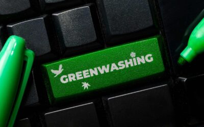 Marketing vert : comment les entreprises adoptent une approche écologique